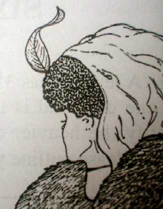hag.jpg (16726 bytes)