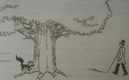 squirrel.jpg (97924 bytes)