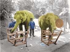 Eleband.jpg (27085 bytes)