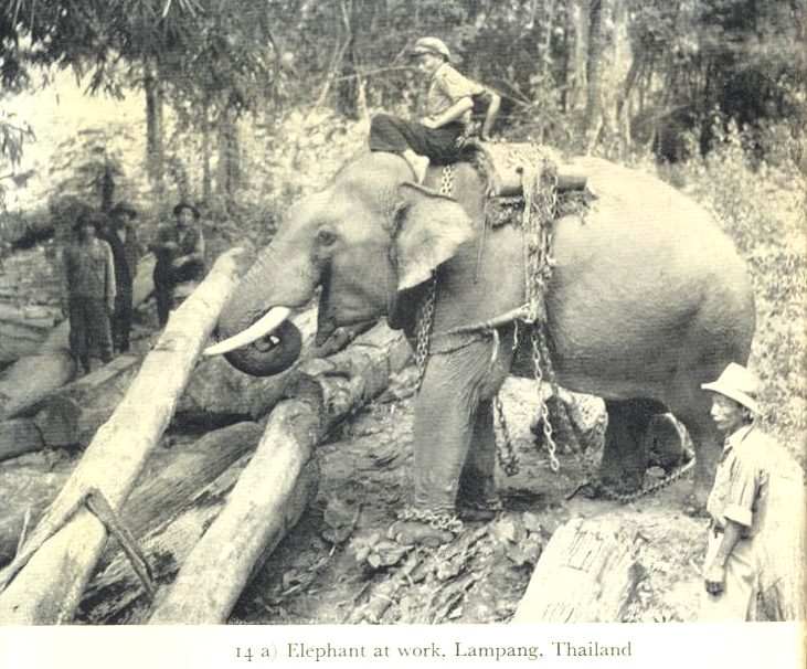 carr160.jpg (383702 bytes)